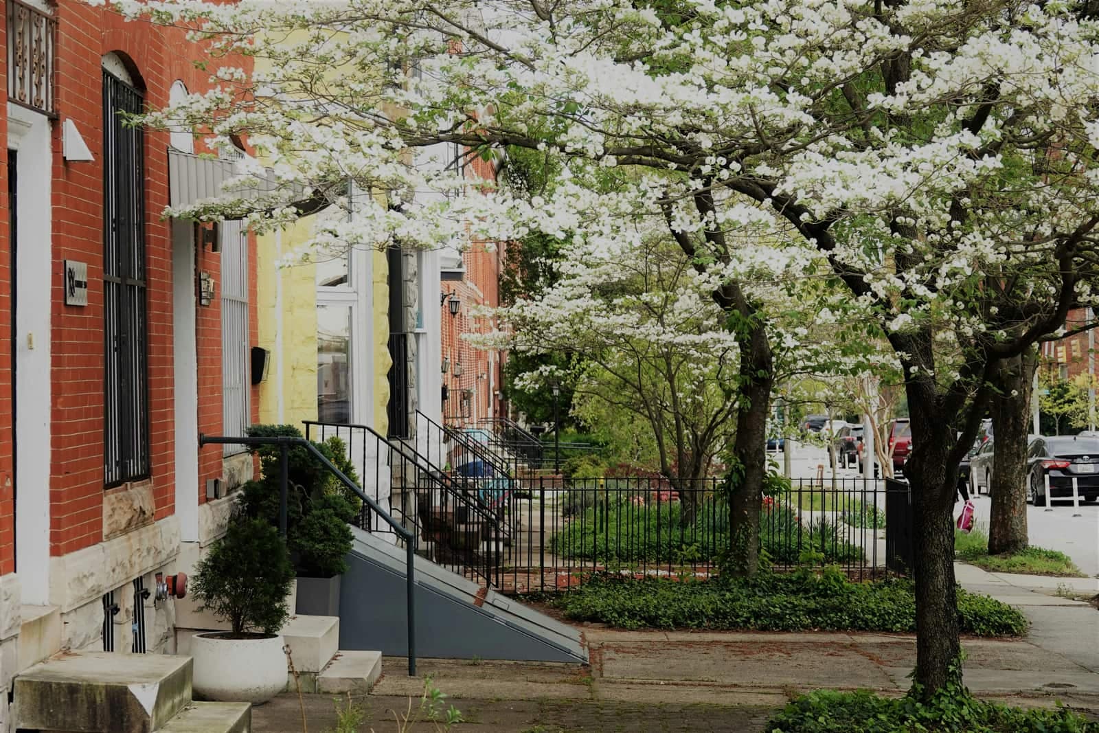 Baltimore street-level row homes